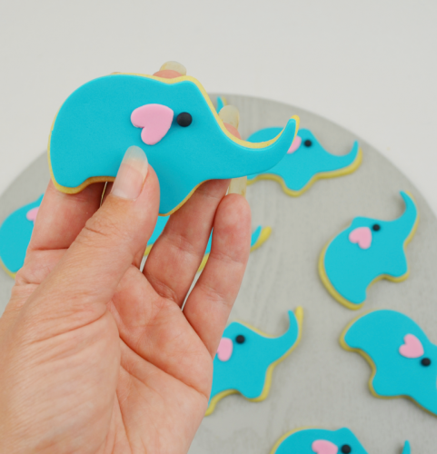 Baby elephant cookie